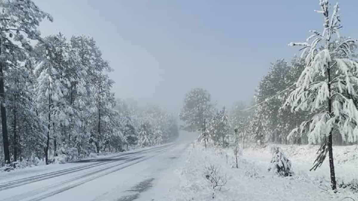 Pega helada a 6 estados; termómetro cae a -15 grados en Durango