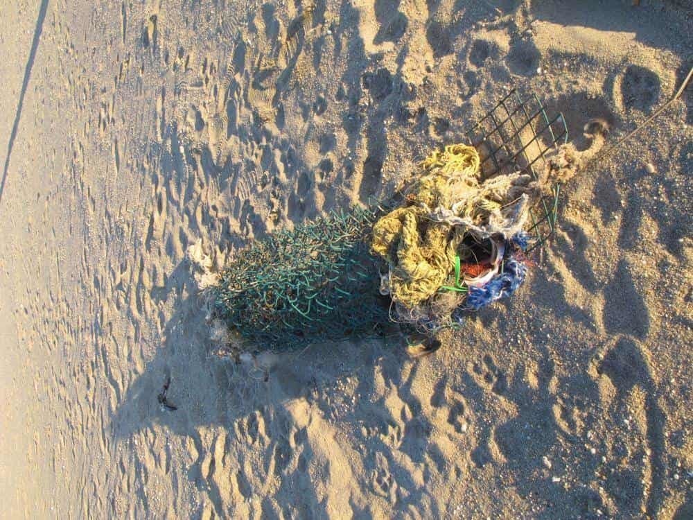 A la alza basura en las playas; recogen dentaduras y hasta un ojo postizo