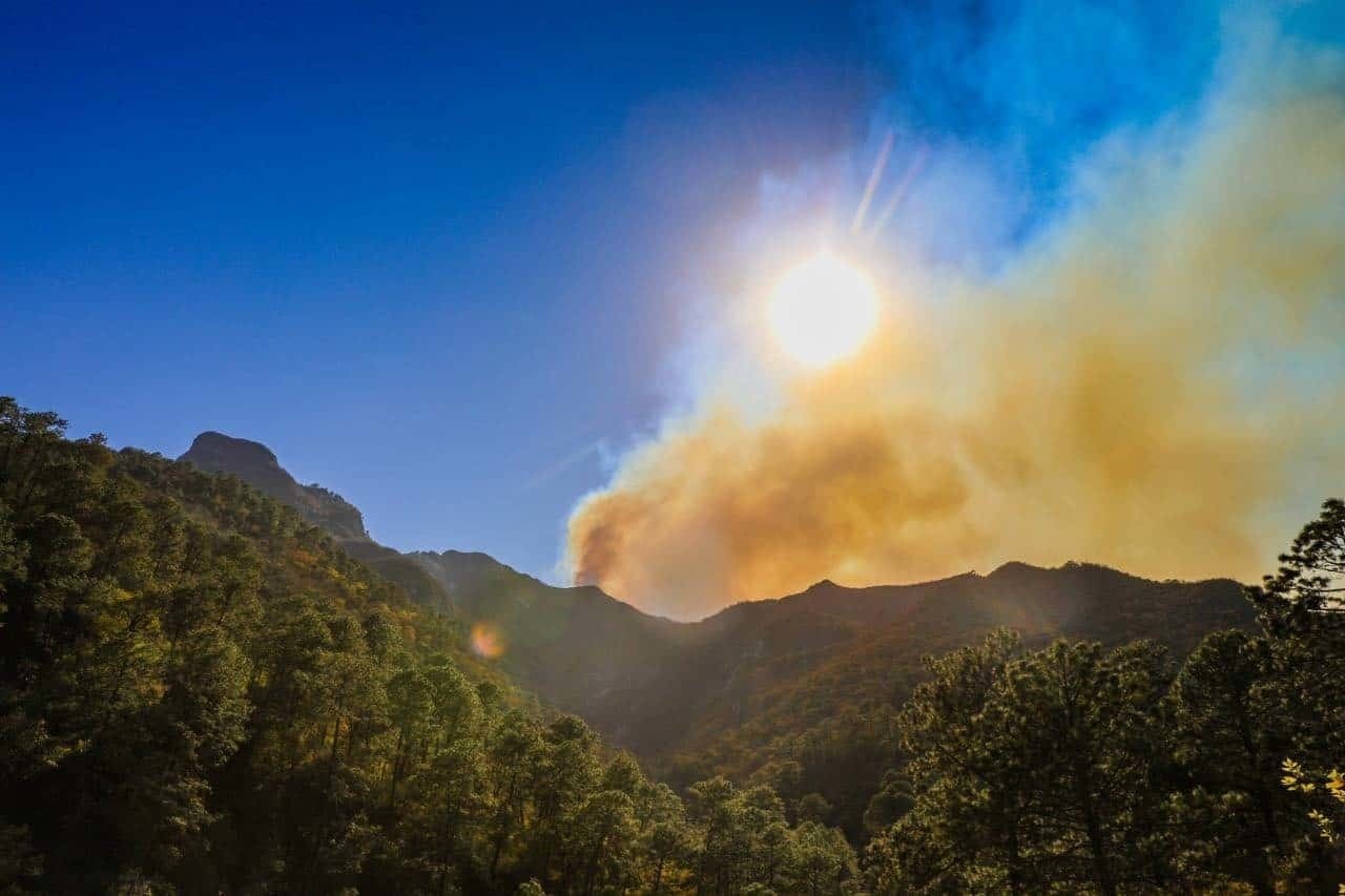 Arrasa Incendio Forestal Con 160 Hectáreas En Sierra De Santiago Posta Nuevo León 5566