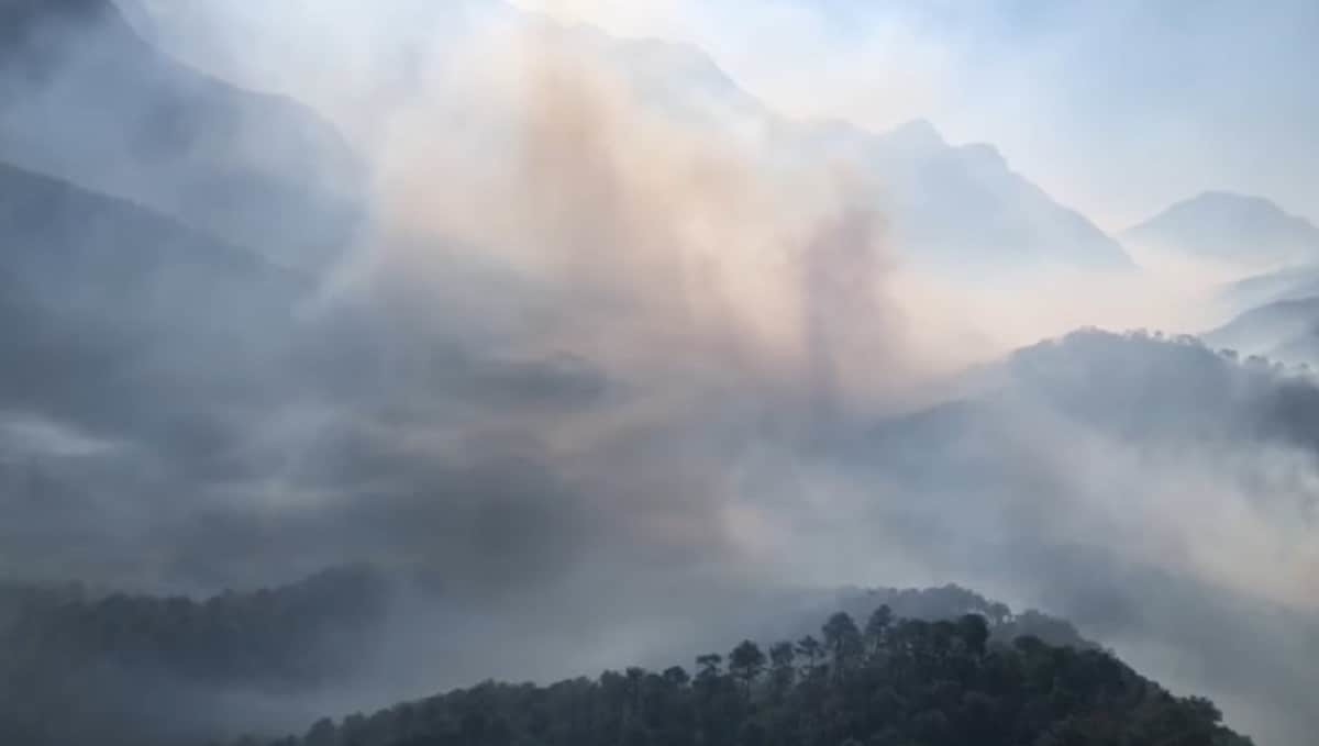 Controlan 45 por ciento incendio forestal en sierra de Santiago, Nuevo León
