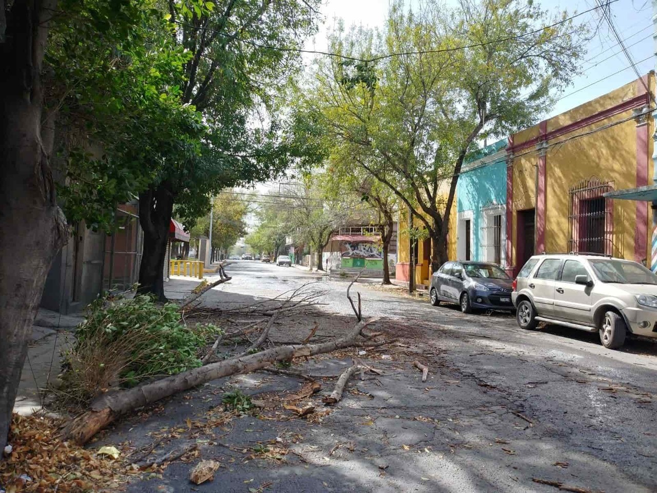 Alertan de fuertes rachas de viento en Nuevo León, Coahuila y Tamaulipas