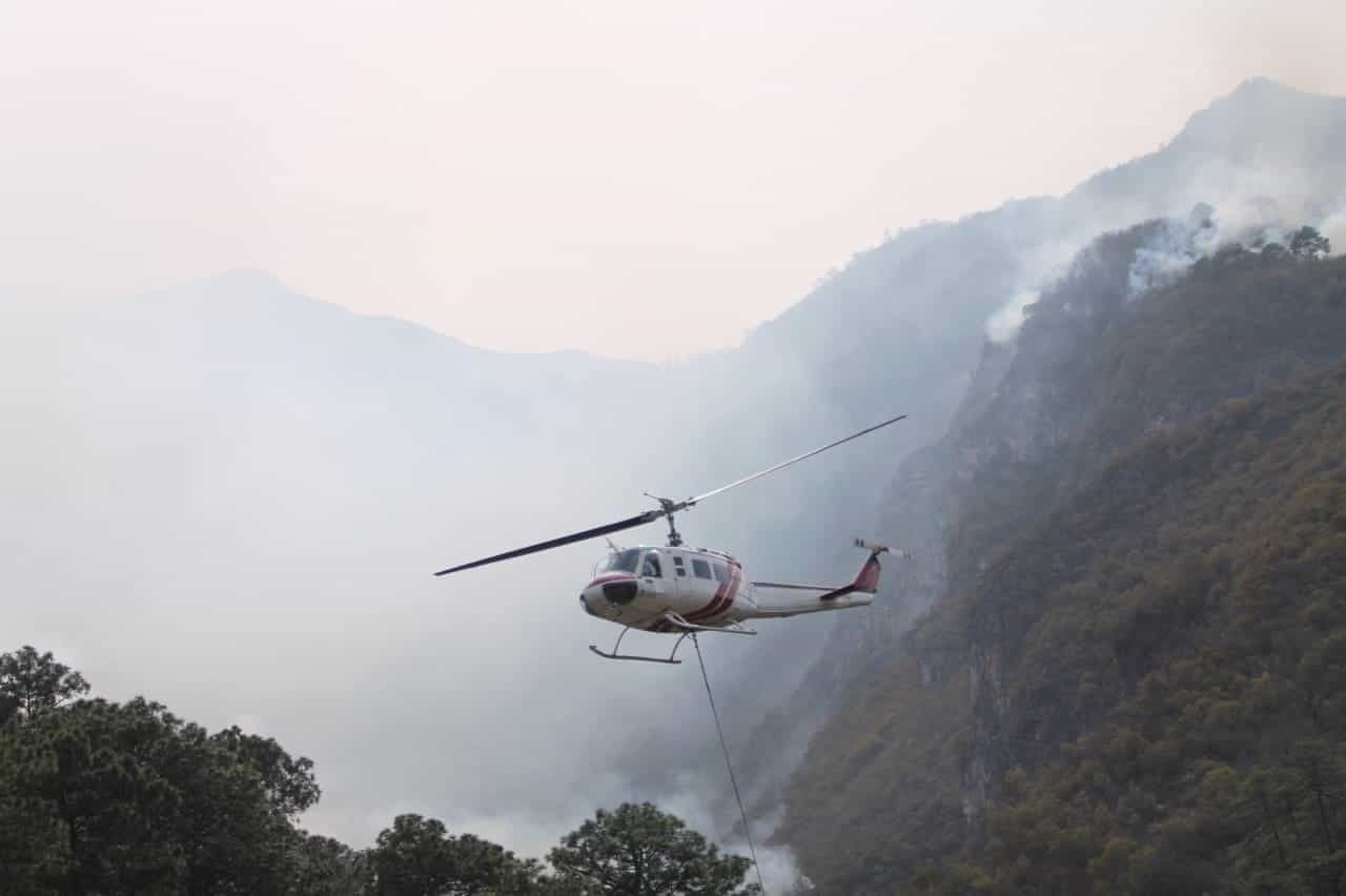 Controlan 50% de incendio forestal en sierra de Santiago