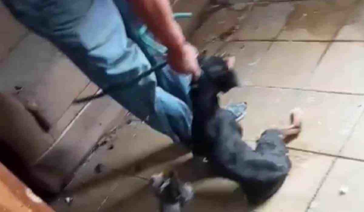 Exhiben en redes a hombre ahorcando un perrito en Puebla