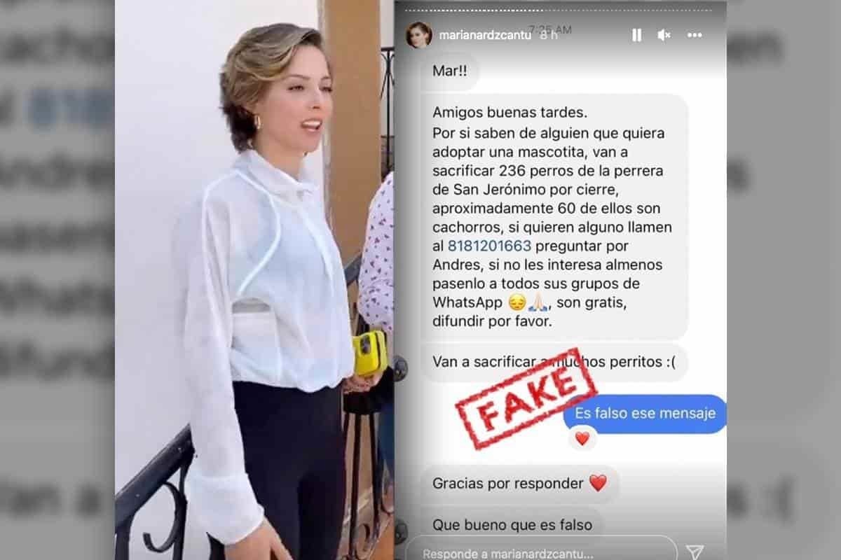Recibe hasta Mariana Rodríguez Fake News sobre adopción perruna