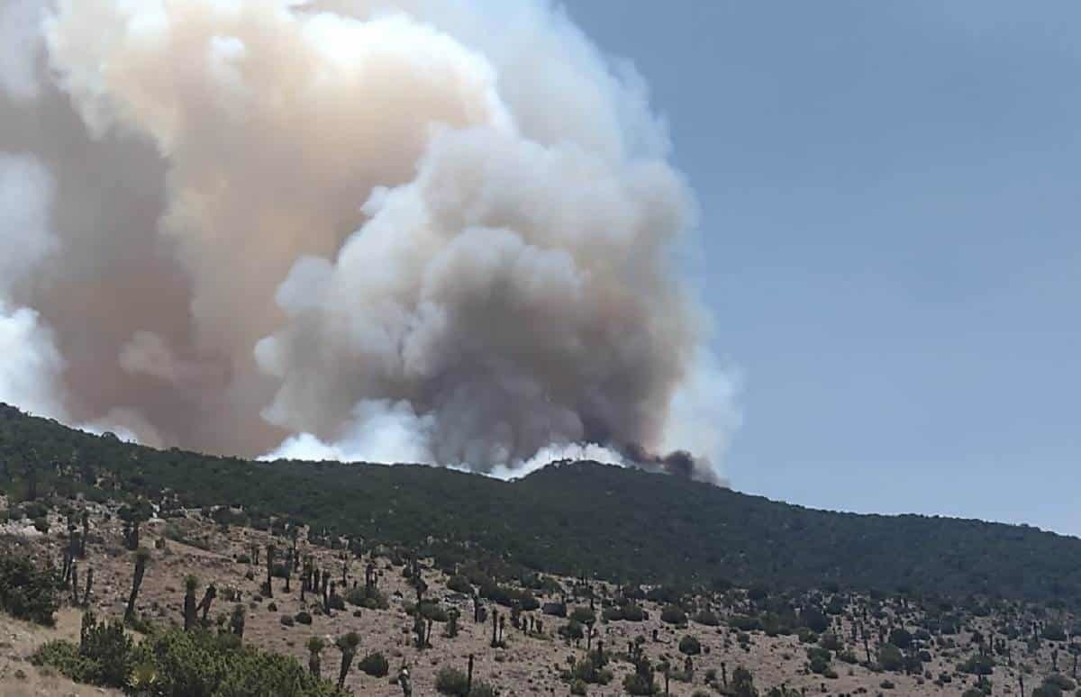 Registra México 97 incendios forestales en 20 estados
