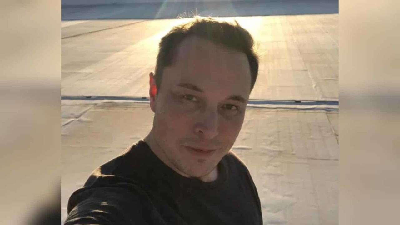 Pausa Elon Musk la compra de Twitter