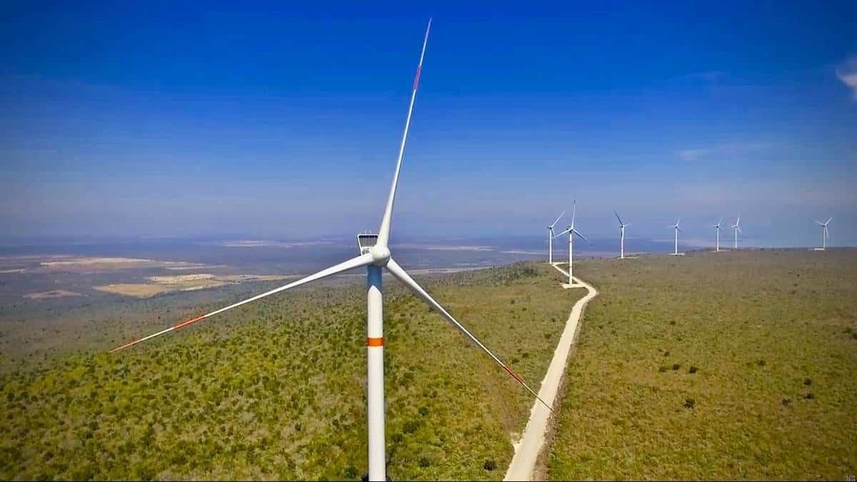 Tamaulipas seguirá apostándole a la generación de energías limpias