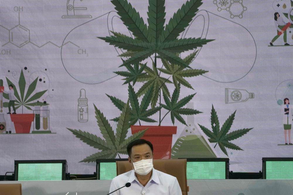 Distribuirá Tailandia 1 millón de plantas de marihuana gratis