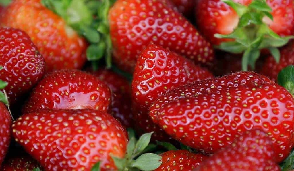 ¿Fresas? Vinculan EU y Canadá casos de hepatitis a fruta