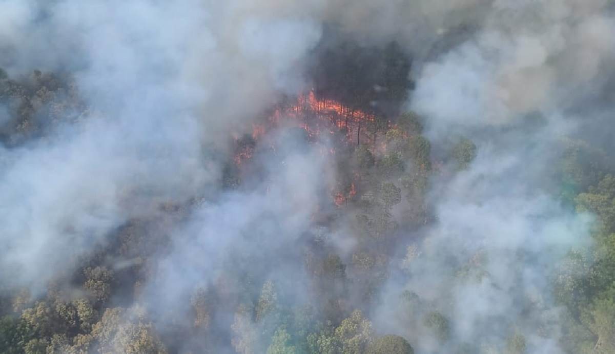 Registra México 81 incendios forestales activos en ola de calor