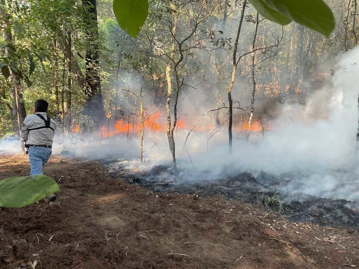 Afectan 54 incendios forestales activos a México
