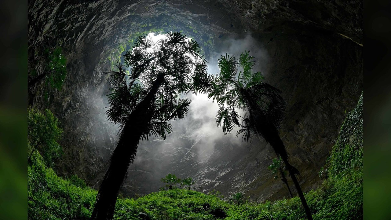 Encuentran bosque primitivo subterráneo en China