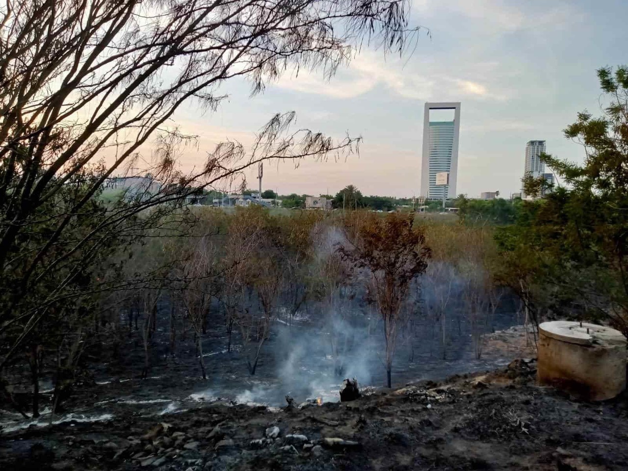 Sofocan incendio en el lecho del río Santa Catarina