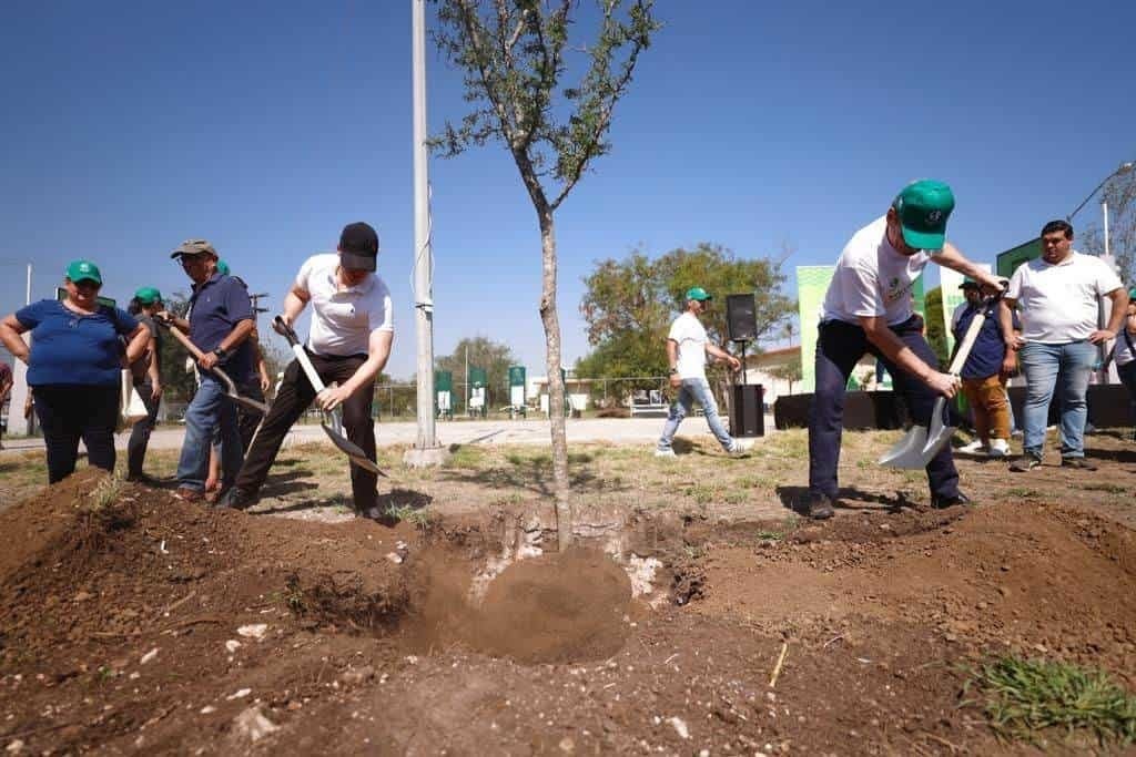 Va Monterrey por 50 mil árboles para combatir sequía y planchas de calor