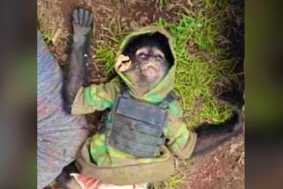 Mono araña sicario muere en balacera en Edomex; traía chaleco antibalas