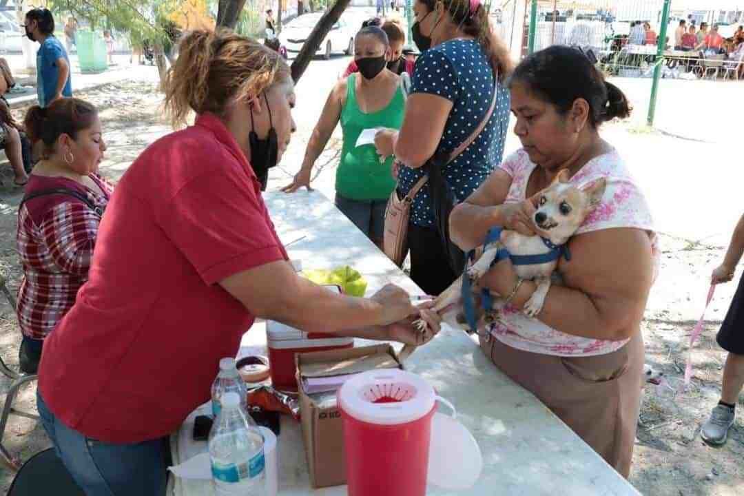 Vacunan contra la rabia a más de 5 mil perros en Juárez