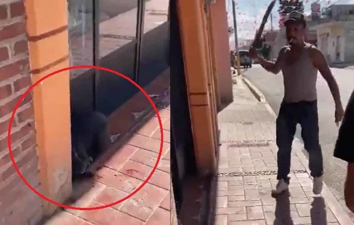 VIDEO: Perrita es agredida a machetazos por un hombre en Hidalgo