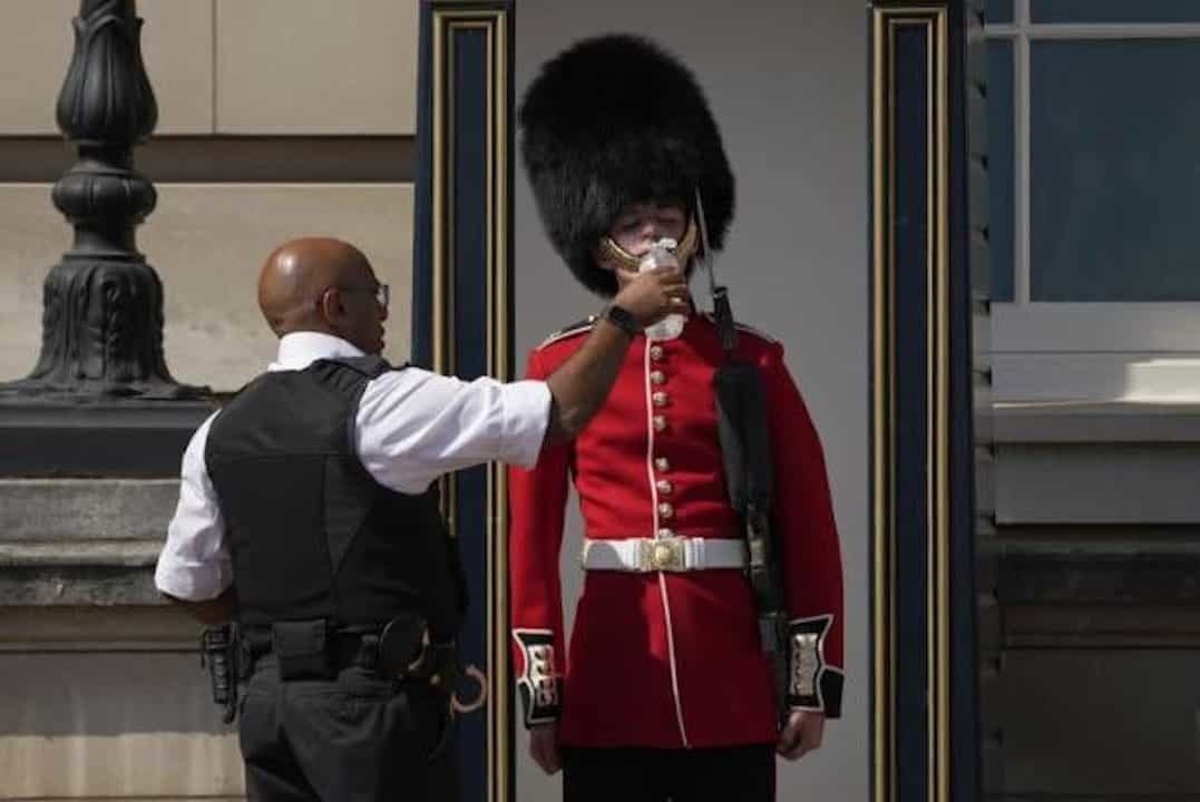 Se compadece policía de guardia de Palacio de Buckingham y le da agua