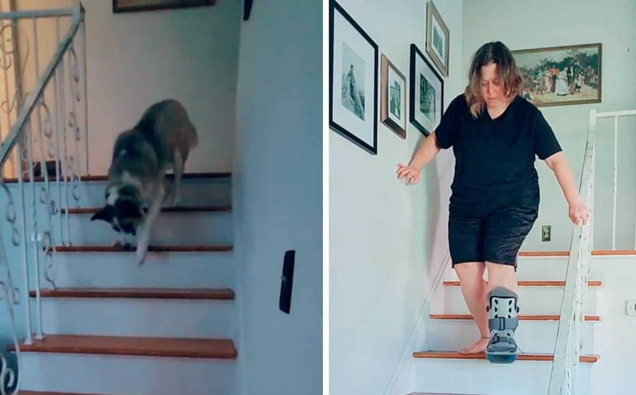 Mujer se rompe el tobillo y perrito la imita al bajar las escaleras