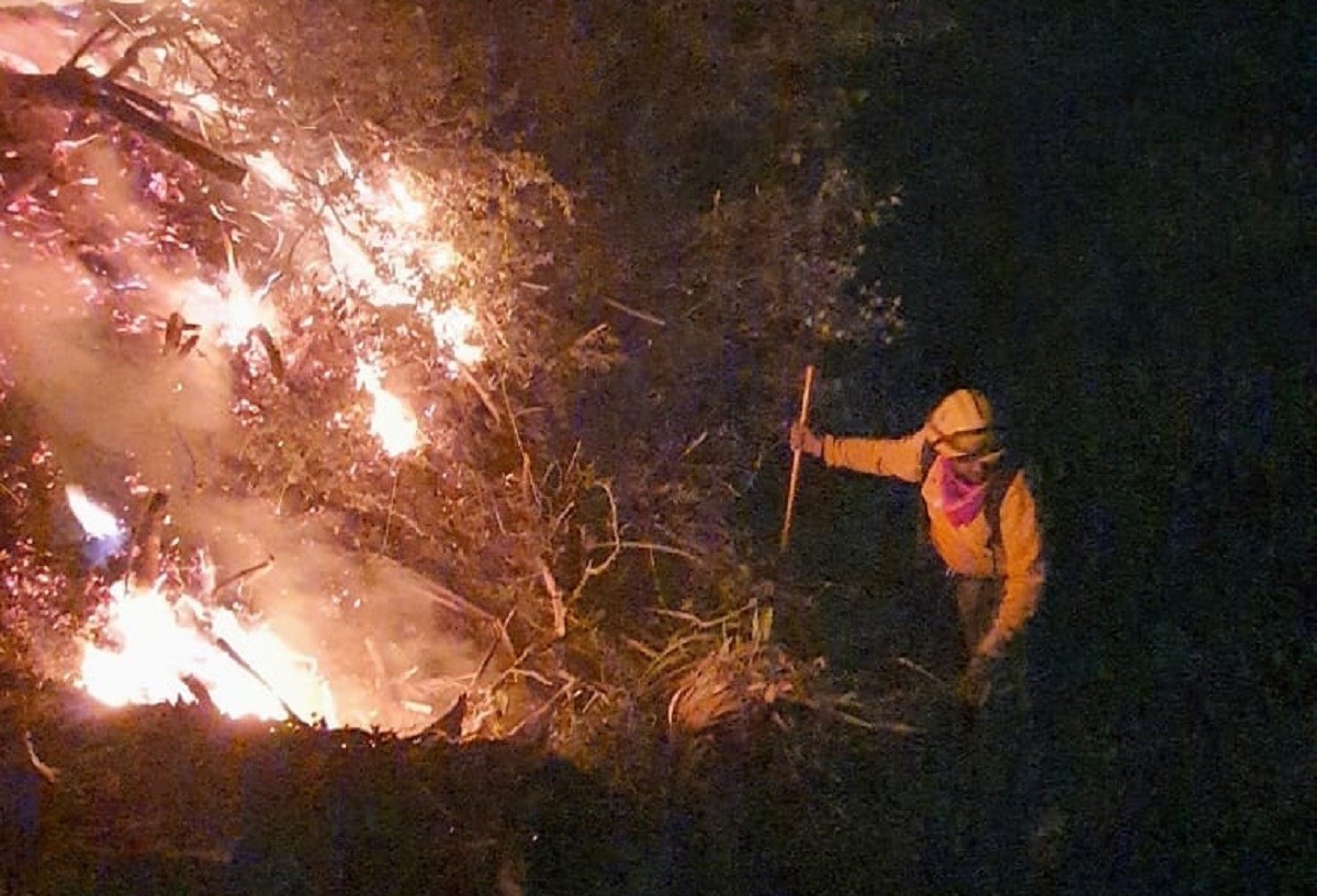 Protección Civil de Nuevo León detalló que el fuego arrasó con matorral bajo y lechuguilla, por lo que se tiene una afectación de 6 hectáreas. Foto: Facebook Protección Civil de Nuevo León