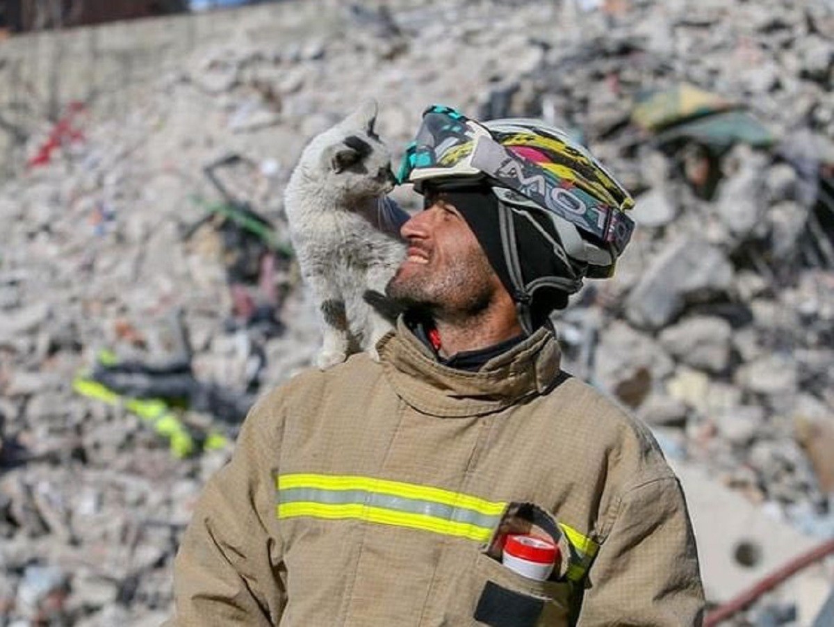 El brigadista Ali Cakas tras rescatar al gato 'Enkaz' luego del terremoto de magnitud 7.8 en Turquía. Foto: Twitter @animaIarmy