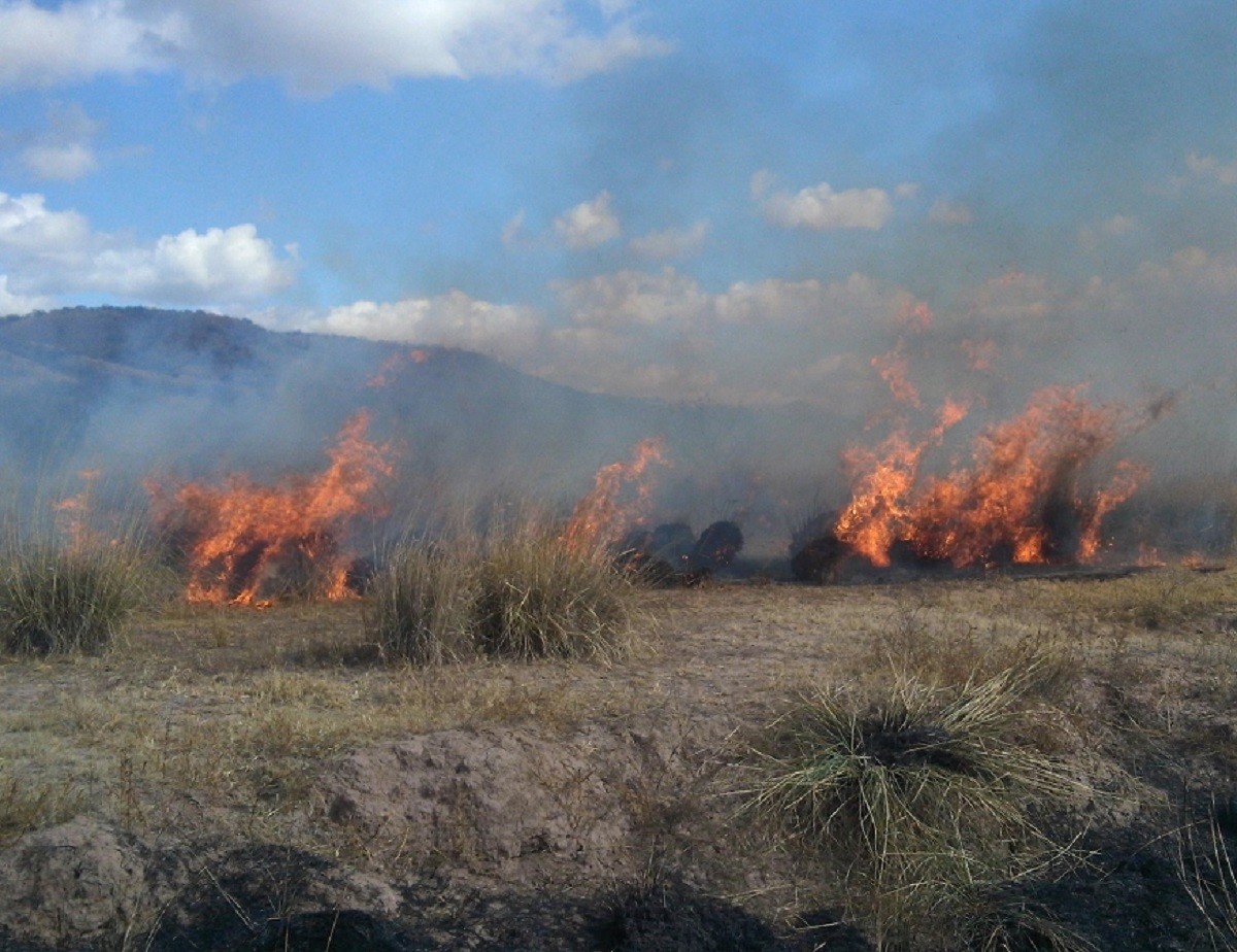 Se llevará a cabo una quema prescrita del 6 al 10 de marzo en la comunidad de San Juan Buatista, en la sierra del municipio de Santiago, Nuevo León. Foto: Twitter @manejodefuego