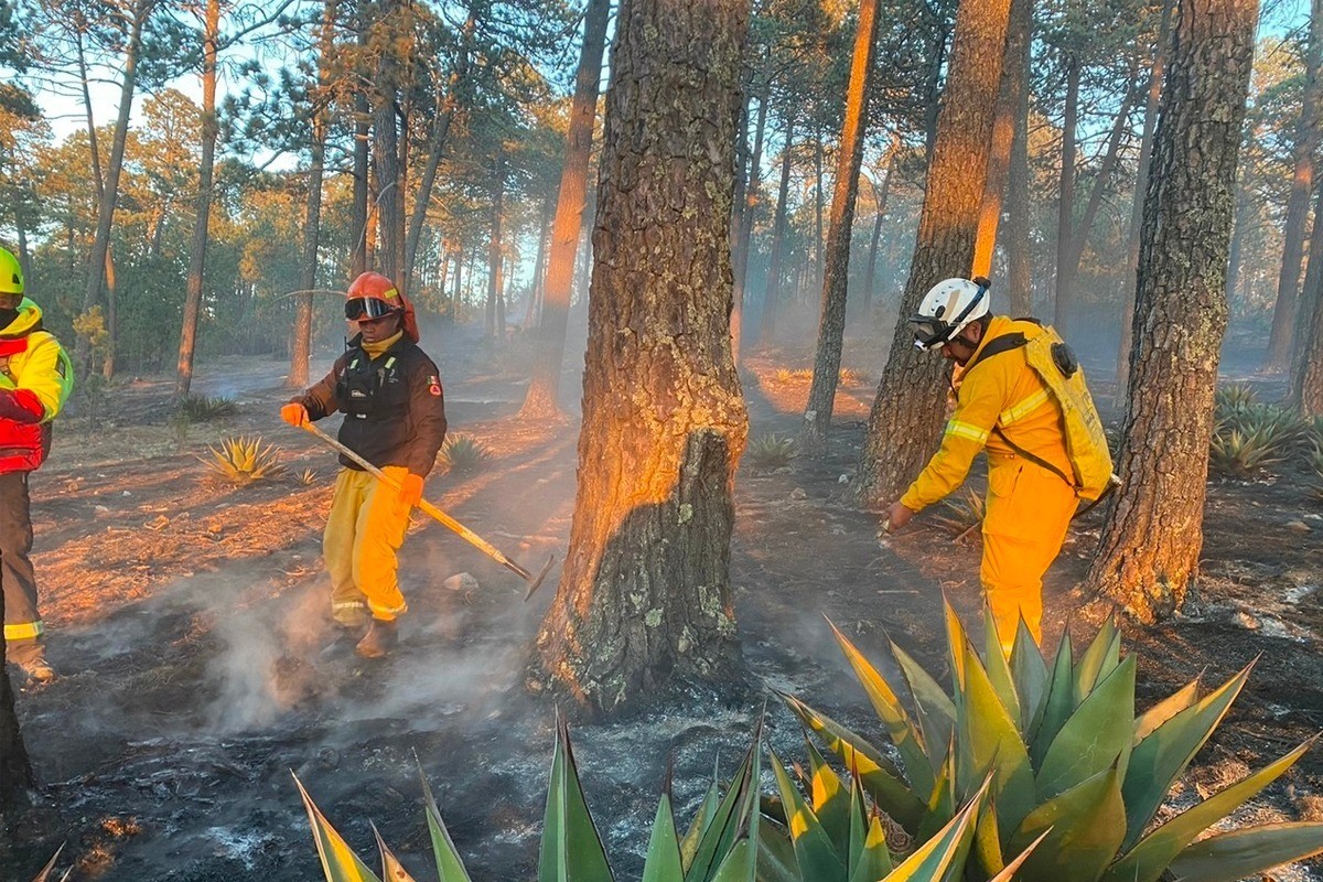 Elevan sanciones a quienes provoquen incendios forestales. Foto. PC NL