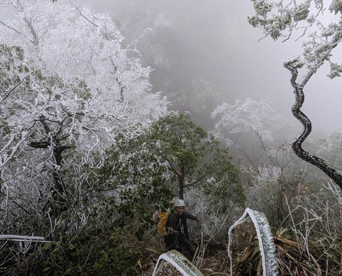 Se registró caída de aguanieve en el Cerro de las Mitras. Foto: Protección Civil de Nuevo León