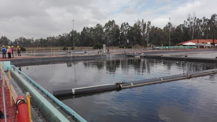A partir del mes de abril, entra en vigor la modificación a la Normal Oficial Mexicana que establece los límites máximos permisibles de contaminantes en las descargas de aguas residuales. Foto: Archivo