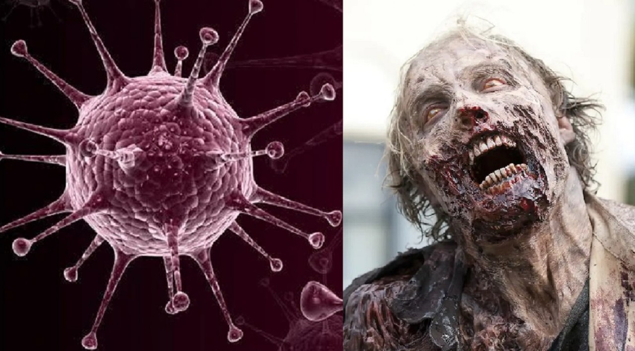 Científicos franceses revivieron 13 virus zombies que estaban congelados en el permafrost de Siberia. Foto: nocookie.net / Hipertextual