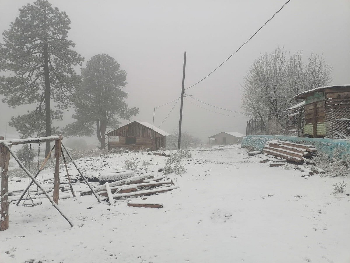 Se registra una nevada en Ciénega de la Vaca, sierra de Guanaceví, en Durango. Foto: Twitter @conagua_clima