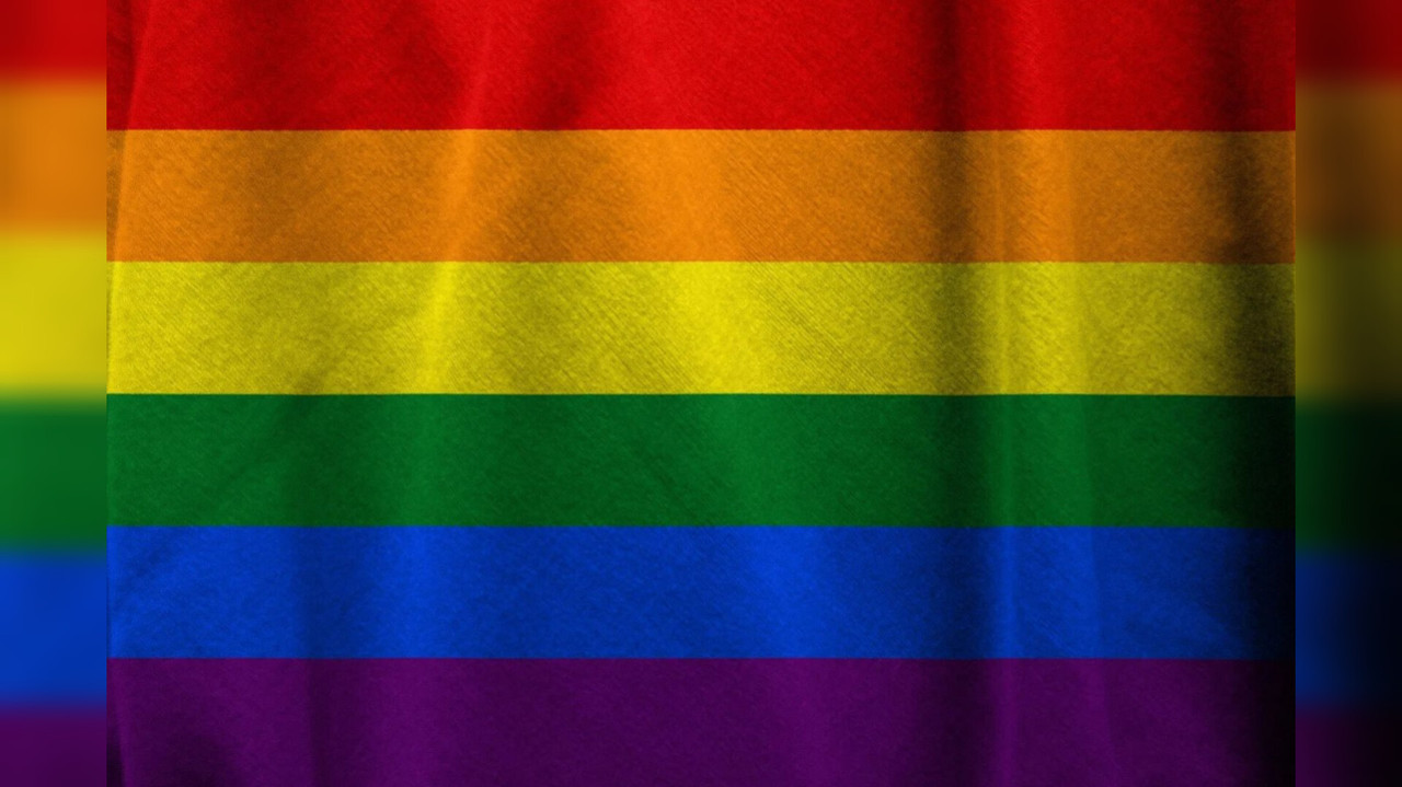Primera marcha LGBT en Lerdo. Comité organizador espera llegar a los 700 asistentes. Foto: pixabay.com
