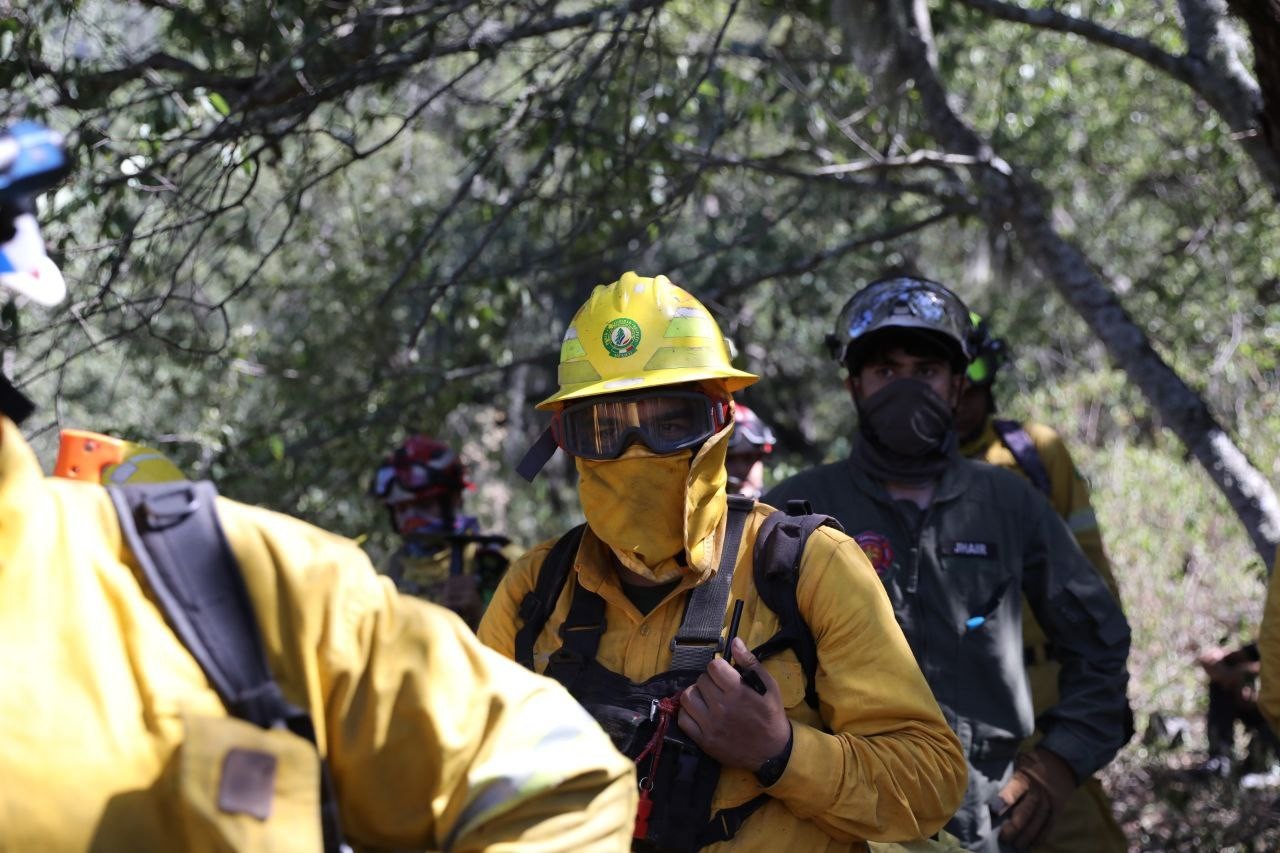 Control Total Del Incendio Forestal En La Sierra De Santa Catarina En El Pajonal Posta Nuevo León 6032