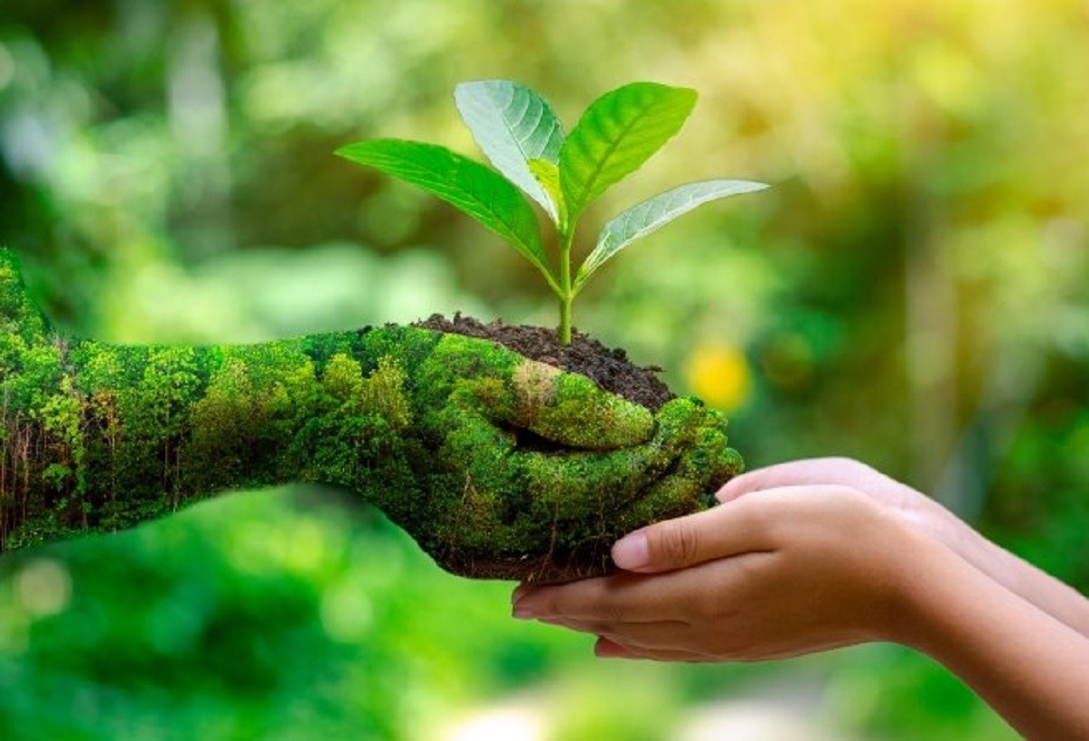 La Organización de Naciones Unidas (ONU) aseguró que la naturaleza se encuentra en situación de emergencia. Foto: Mestiza Radio - Universidad Nacional Arturo Jauretche