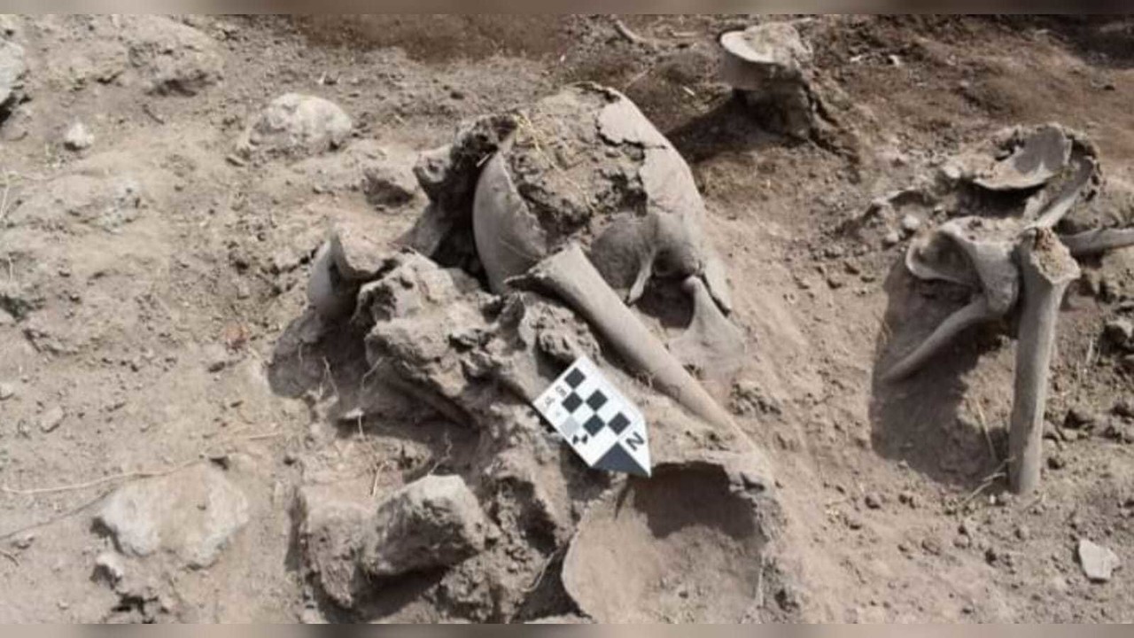 No son extraterrestres, son restos de 16 personas que vivieron en el México Prehispánico que fueron localizados en la zona arqueológica de La Ferrería. Foto: Facebook Instituto Nacional de Antropología e Historia.