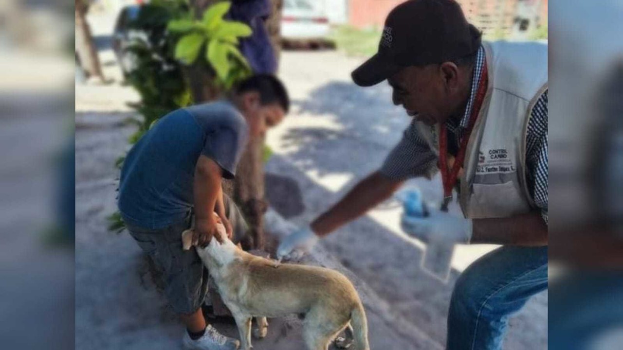 Bienestar Animal en Gómez Palacio vacunando mascotas en prevención y erradicación de las garrapatas. Foto: Facebook Ayuntamiento de Gómez Palacio.