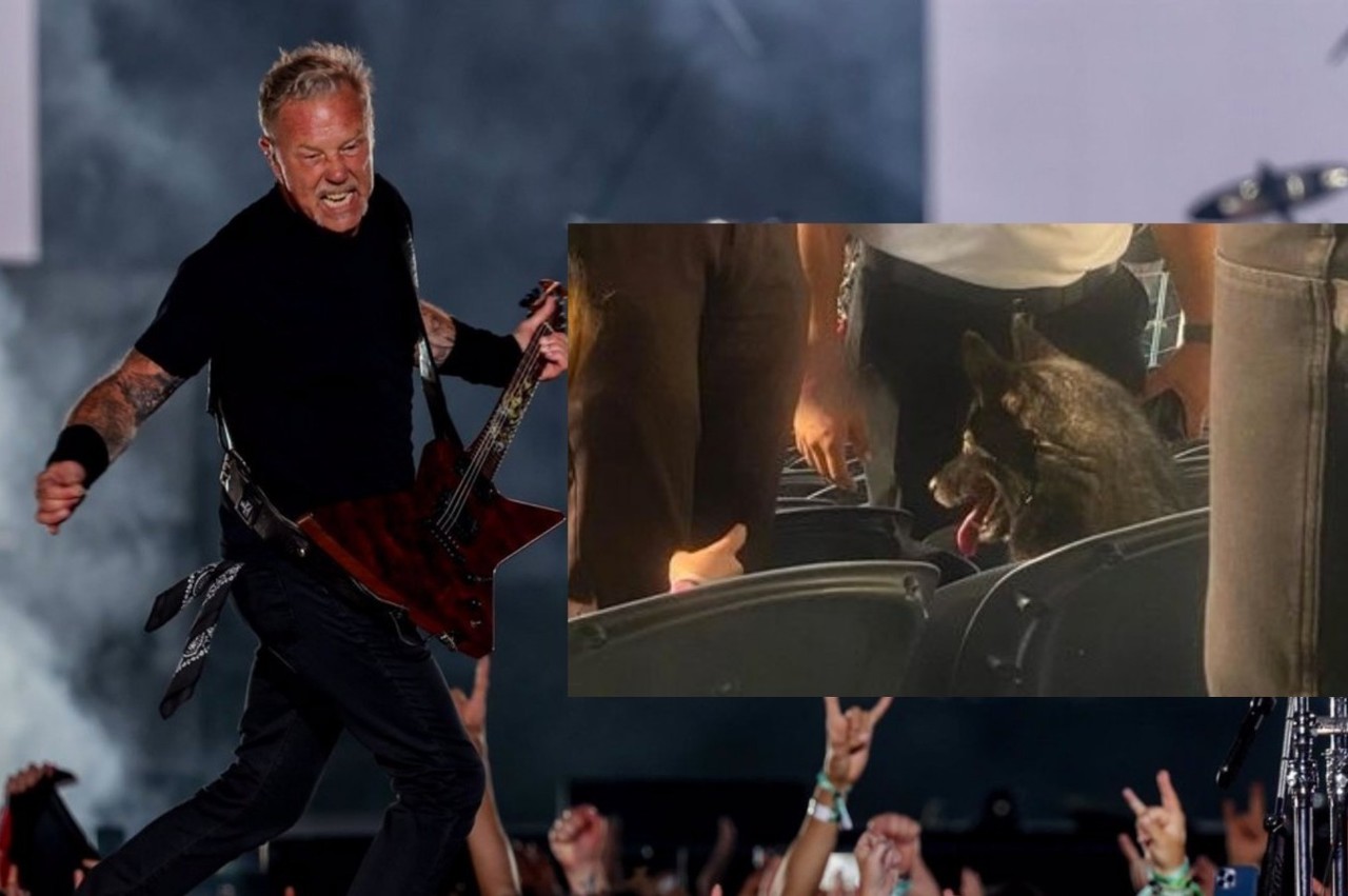 La peculiar perrita acaparó las miradas de miles de fanáticos que se dieron cita en el estadio SoFi de Los Ángeles, todo para ver en vivo Metallica. Foto: Especial.