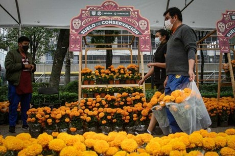 Visita el Festival de las Flores de Cempasúchil 2023 en Paseo de la Reforma
