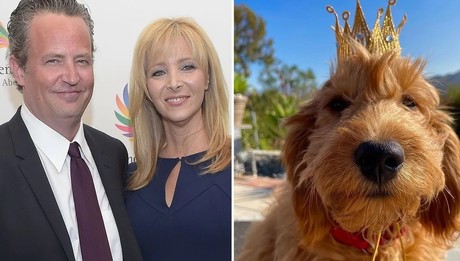 Adoptaría Lisa Kudrow a 'Alfred', perro del actor Matthew Perry