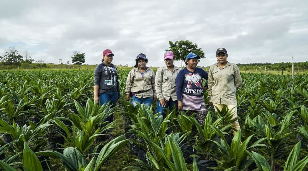 Hoy se celebra el Día Internacional de las Mujeres Rurales quienes son fuerza decisiva en el  cultivo de  gran parte de nuestros alimentos. Foto: Twitter @FMC_Cuba