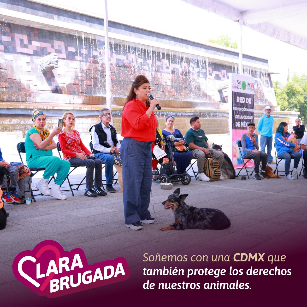 La alcaldesa con licencia pidió defender los derechos de los animales. Foto: @ClaraBrugadaM