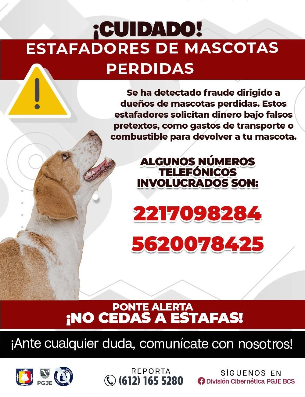 Comunicado de alerta PGJE