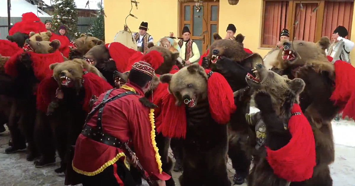 Las pieles de oso utilizadas en el festival son reliquias familiares y no se obtienen mediante la caza ilegal. Foto: Flavor 77