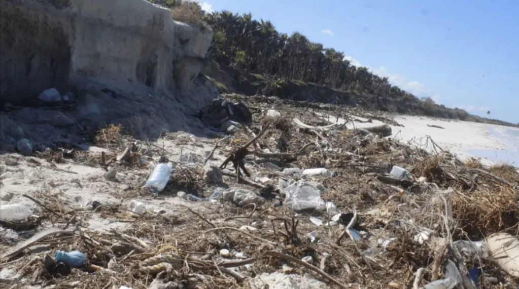 Contaminación en la playa Las Coloradas. Foto: Omar Xool Montelongo