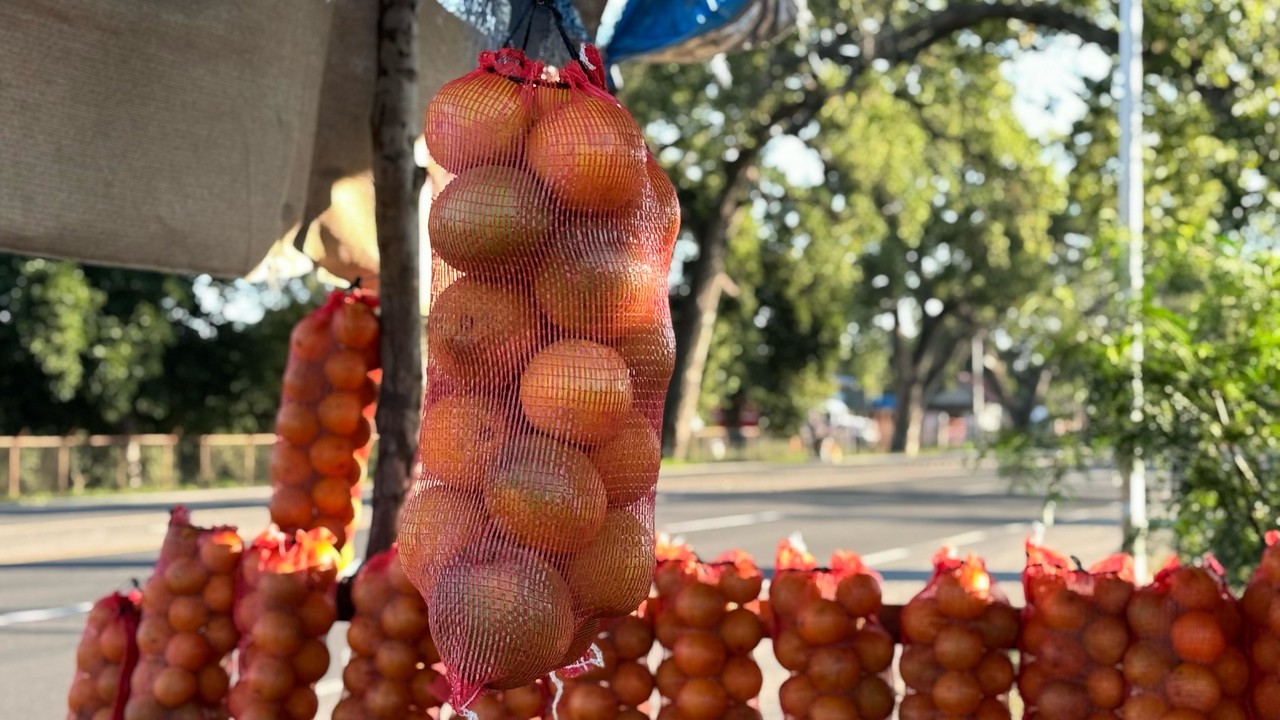 Arpilla de naranjas a la venta, a bordo de la carretera Victoria- Monterrey. Foto: Osberto Vera.