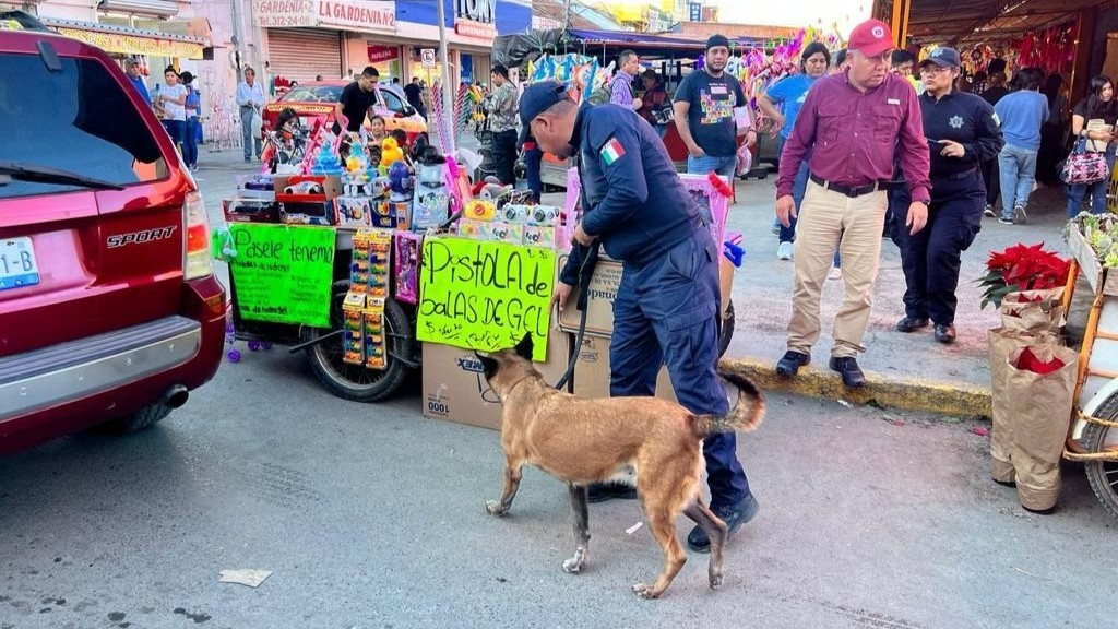 Binomio canino verificando los establecimientos ambulantes en las inmediaciones del Mercado Argüelles. Foto: Agencia.