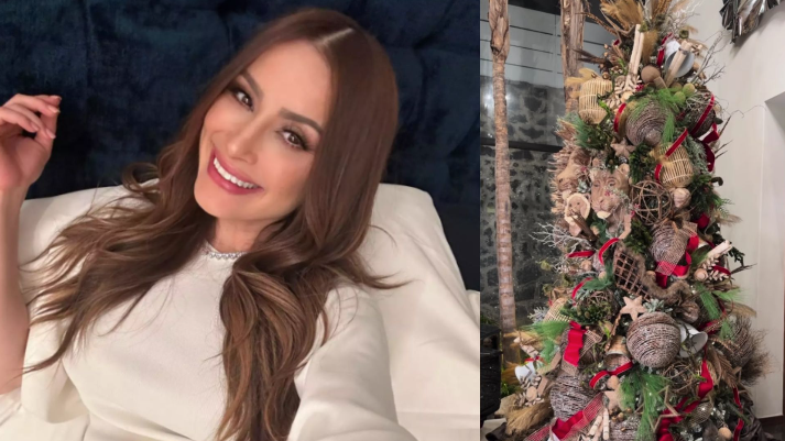 Fue en este 2023 que Cynthia Rodríguez y Carlos Rivera se convirtieron en padres del pequeño León a quien le dedicaron el árbol de Navidad. Foto. Captura Instagram @cynoficial