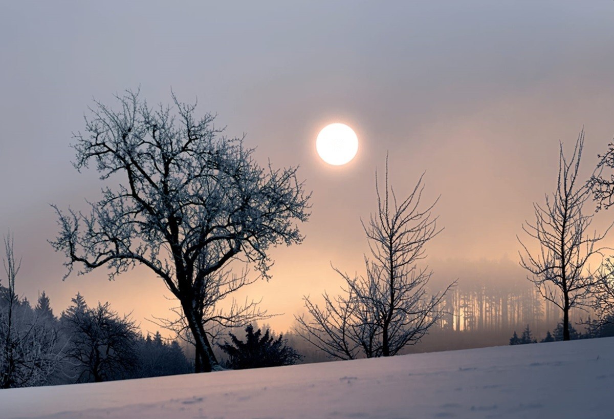 En los países del Hemisferio Norte, el solsticio de invierno tiene lugar entre el 20 y el 23 de diciembre de cada año.  Foto:  Star Walk