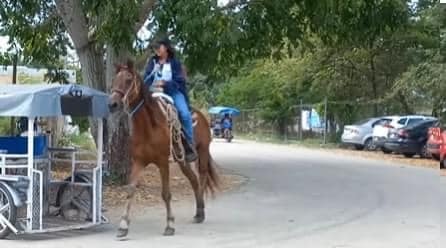 Va en caballo a la escuela