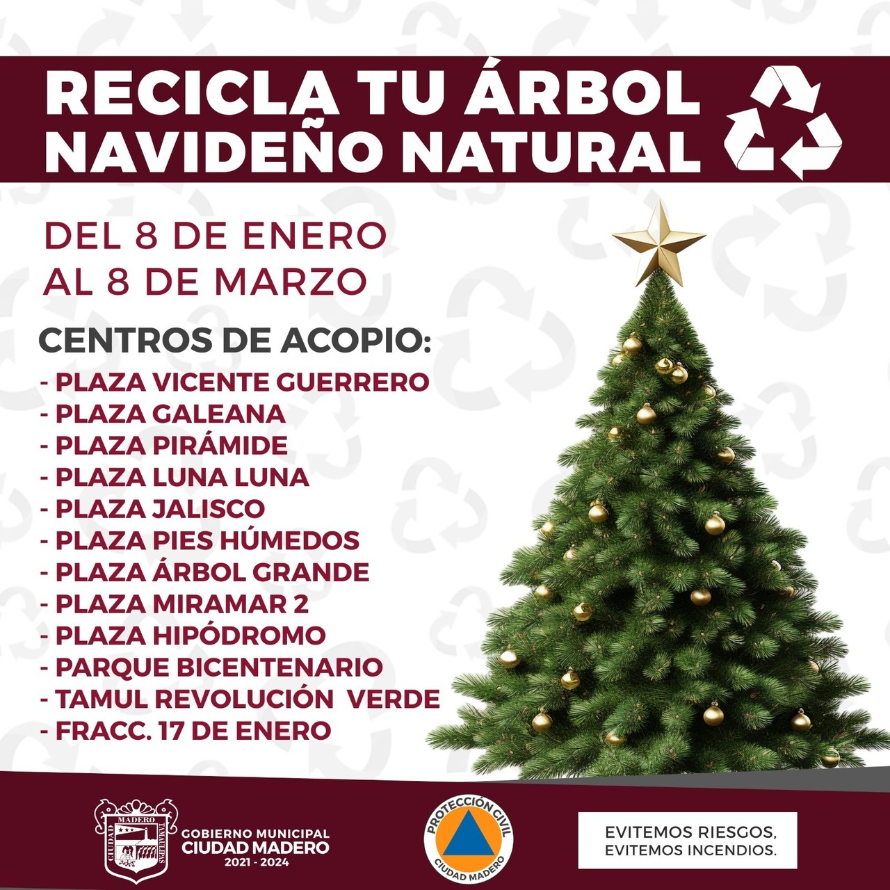 Terminó la Navidad ¿a dónde puedes llevar los pinitos naturales en la zona sur?